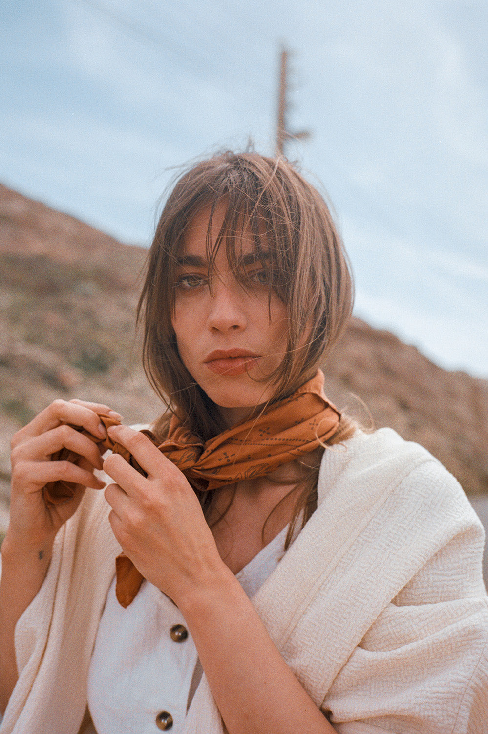 la treille carré de soie rouille